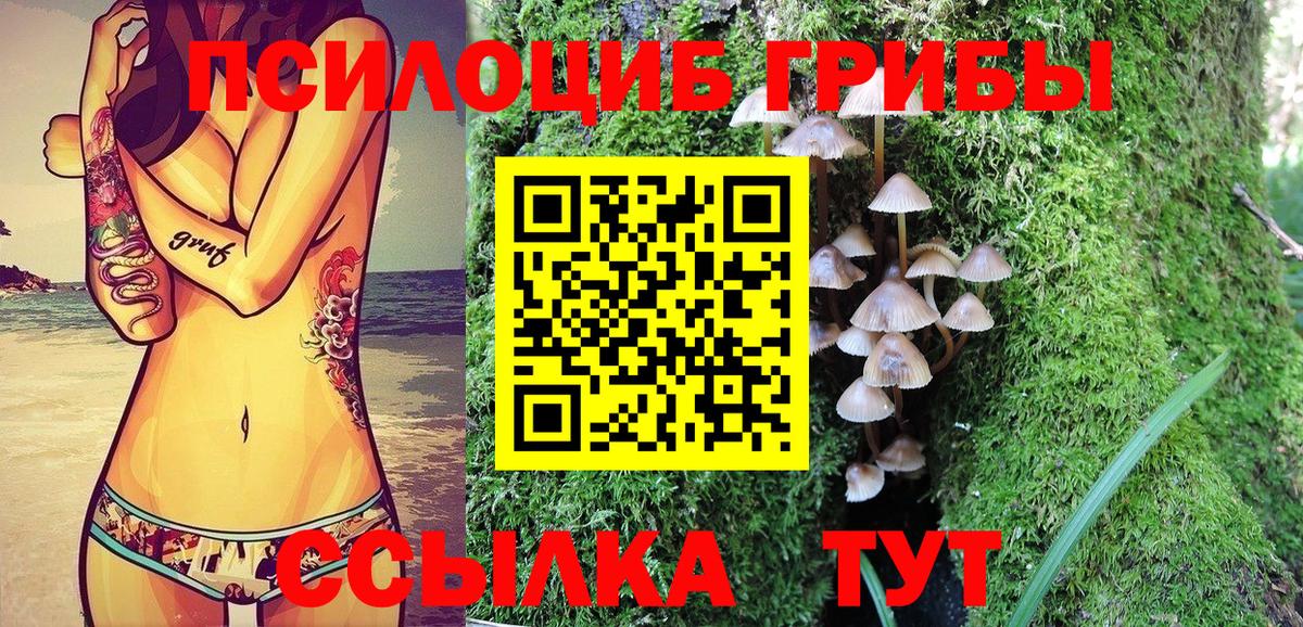 Галлюциногенные грибы Psilocybine cubensis Алушта